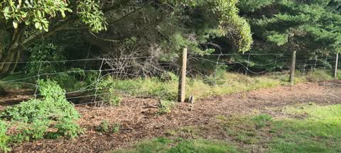 Parks, a report photo