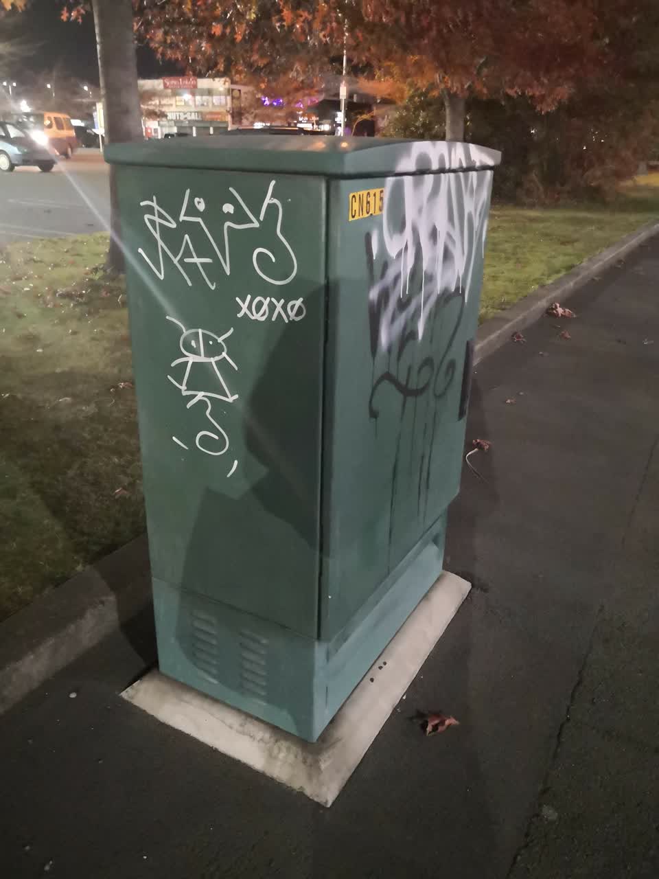 The photograph attached to this graffiti report