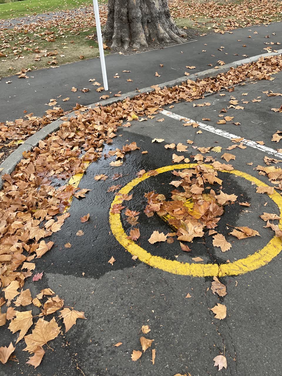 The photograph attached to this water leak report