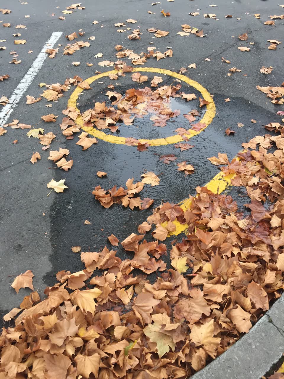The photograph attached to this water leak report