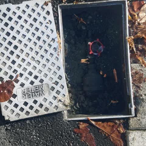 Water Leak, a report photo