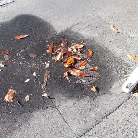 Water Leak, a report photo