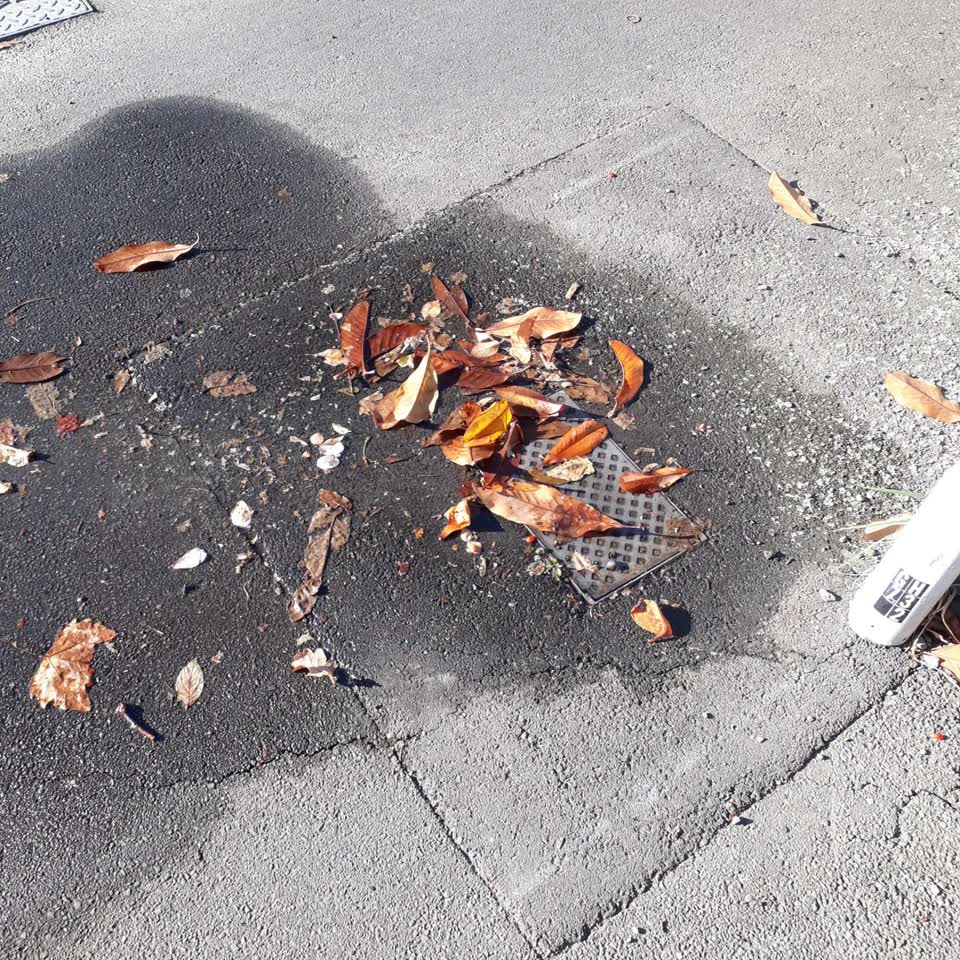 The photograph attached to this water leak report