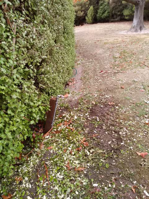 Parks, a report photo