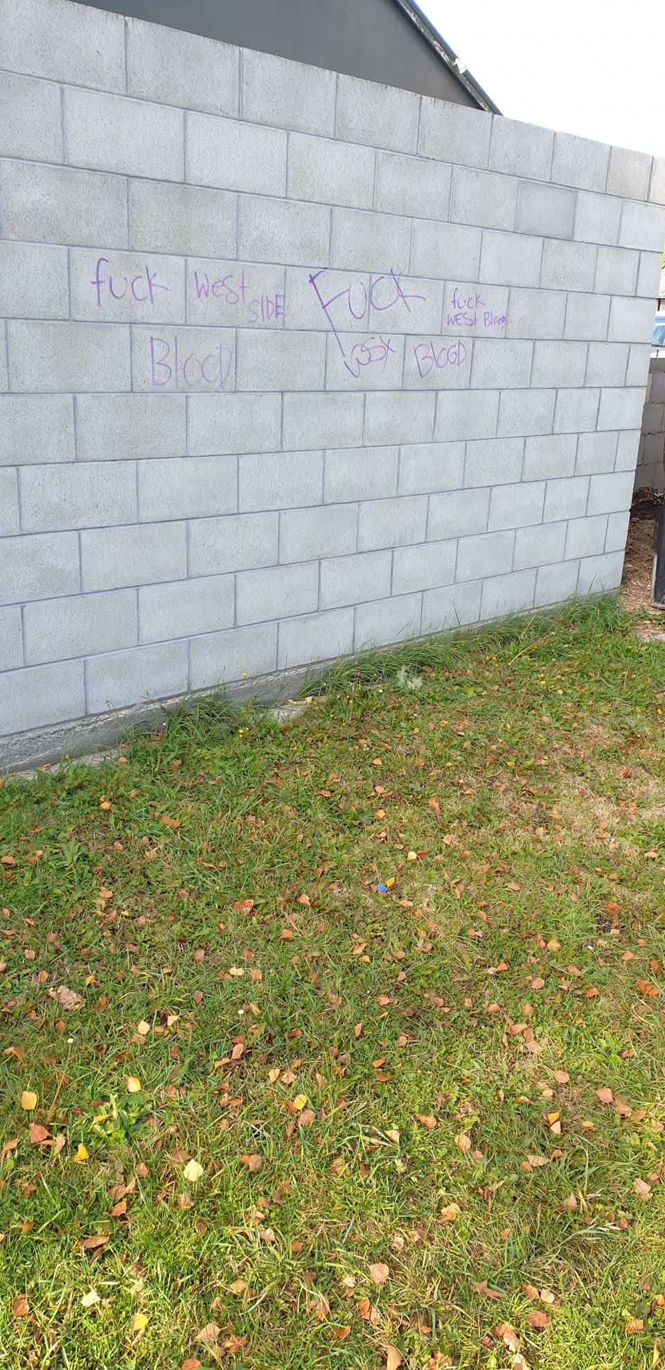 The photograph attached to this graffiti report