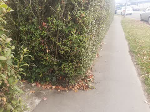 Roading/Streets, a report photo