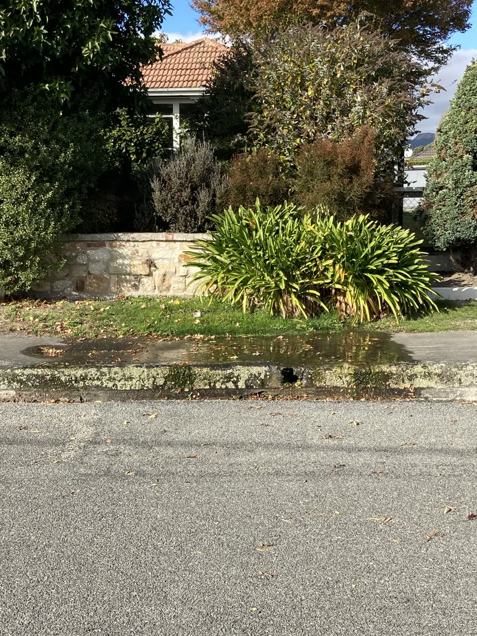 The photograph attached to this water leak report