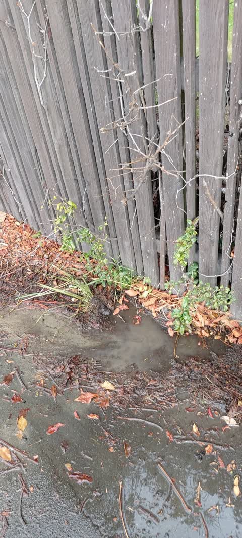 Water Leak, a report photo