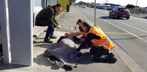 Roading/Streets, a report photo