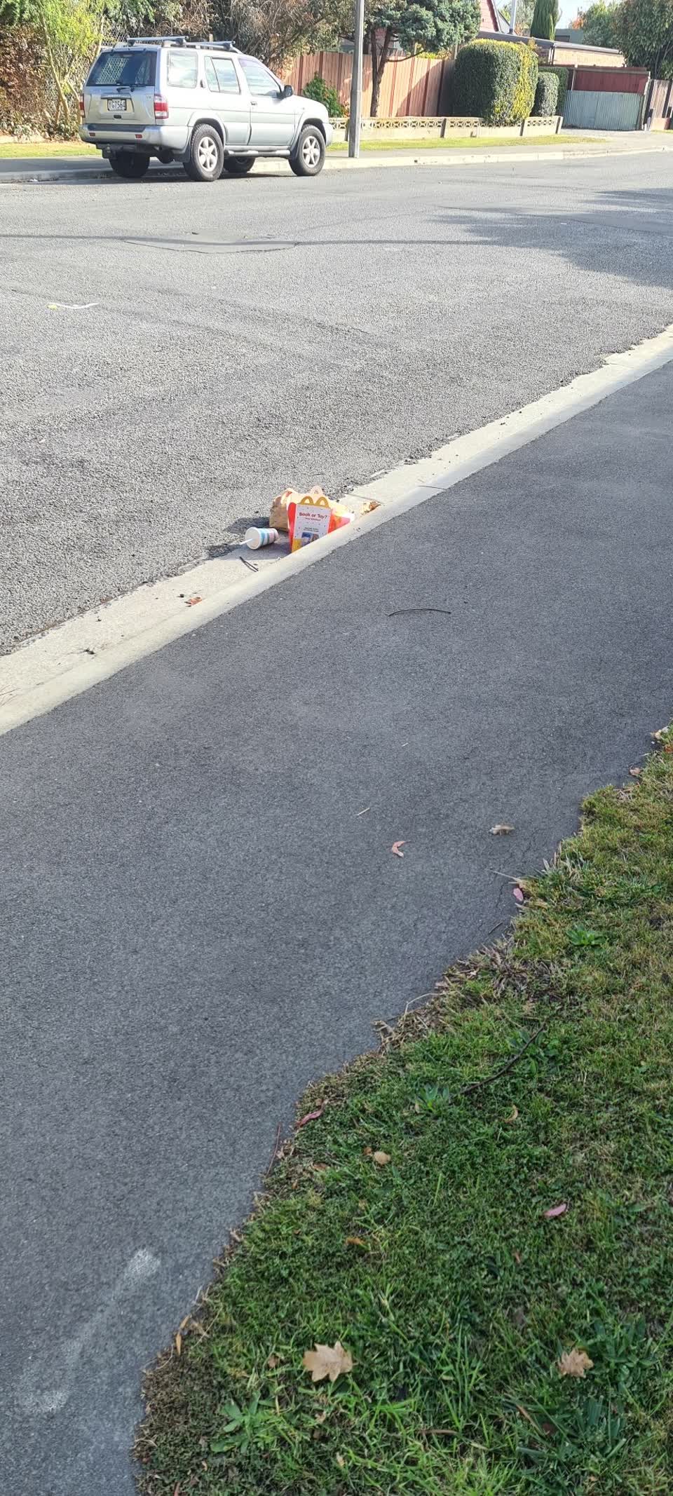 The photograph attached to this rubbish/recycling report