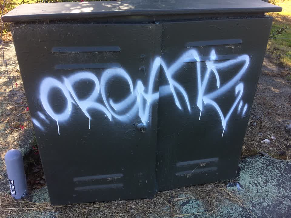 The photograph attached to this graffiti report