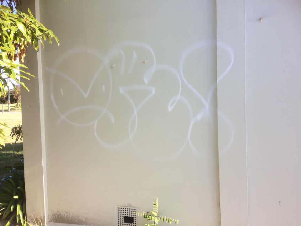 The photograph attached to this graffiti report