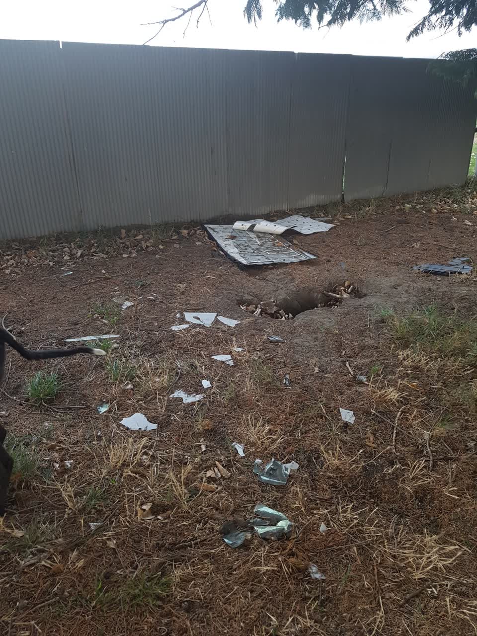 The photograph attached to this parks report