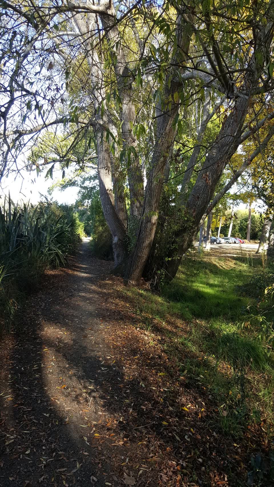 The photograph attached to this parks report