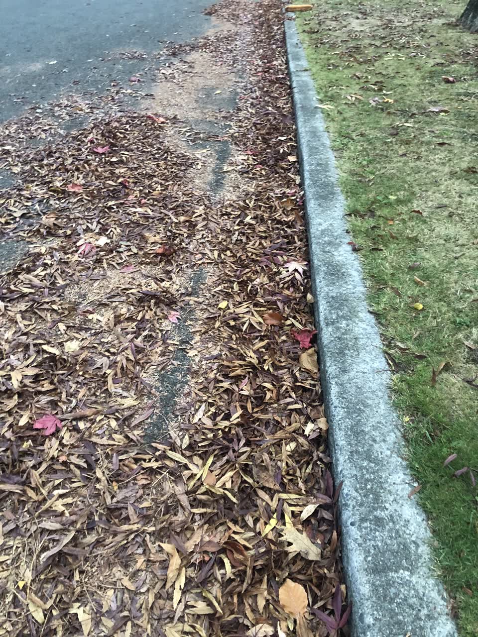 The photograph attached to this flooding report