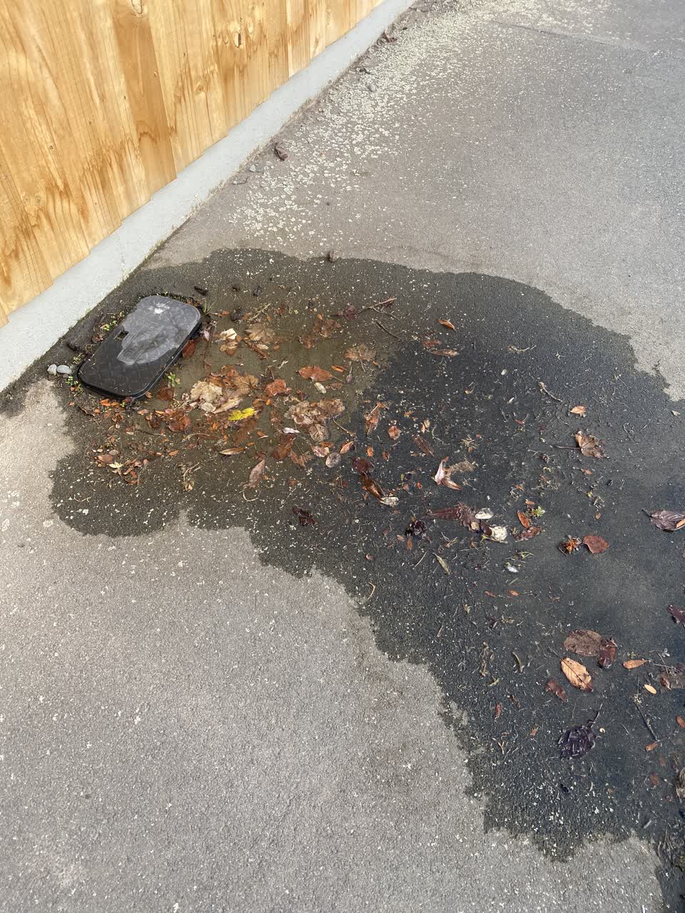 The photograph attached to this sewer - leak / blockage report