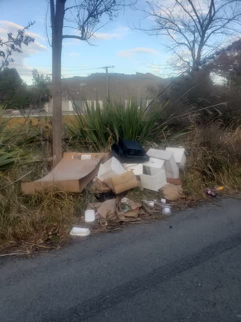 Rubbish/Recycling, a report photo