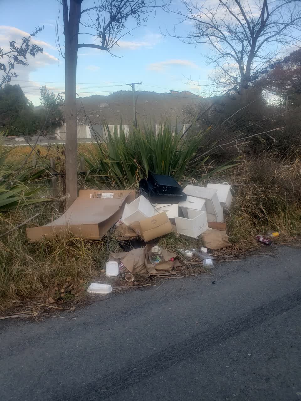 The photograph attached to this rubbish/recycling report