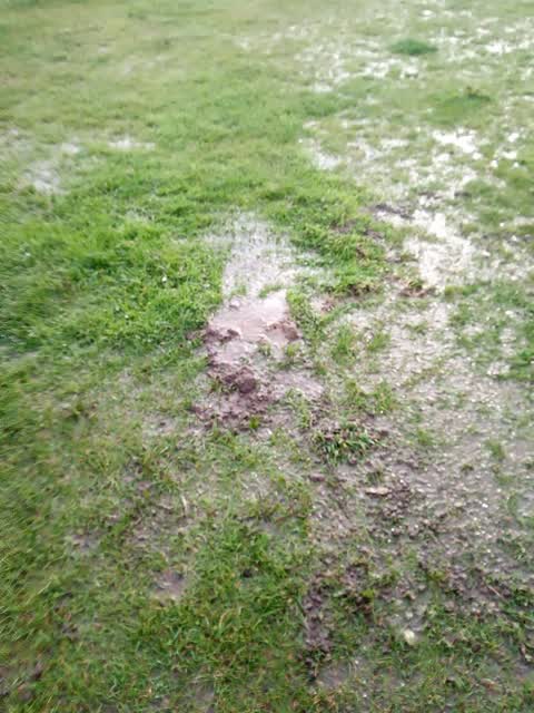 Parks, a report photo