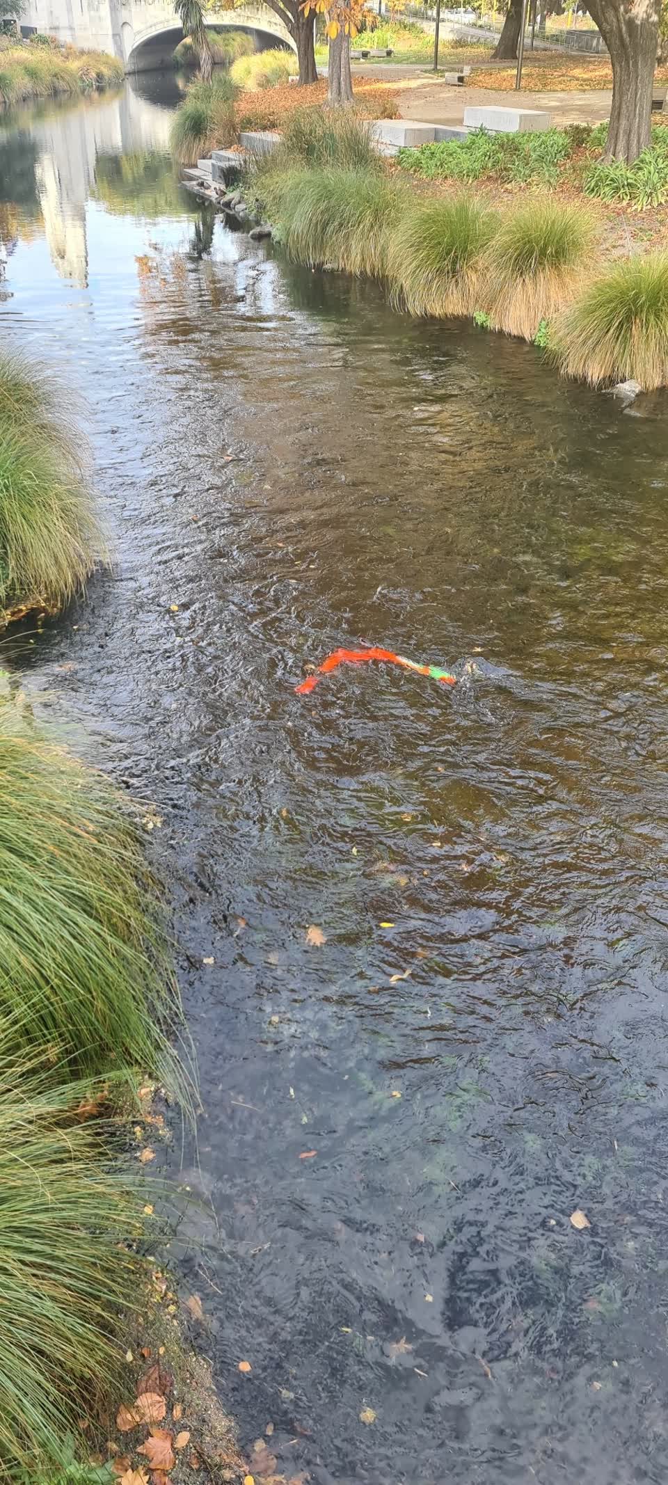 The photograph attached to this parks report