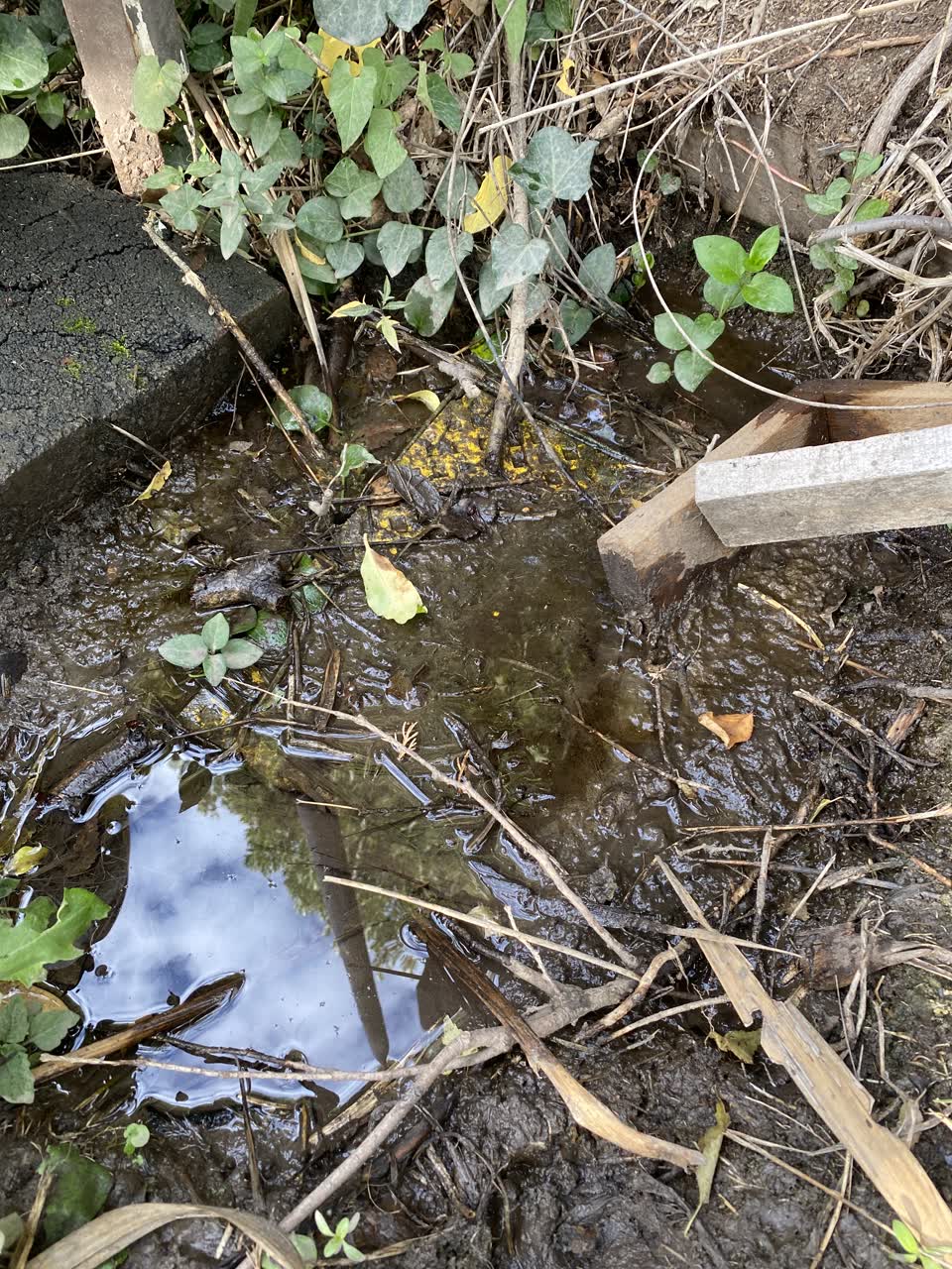 The photograph attached to this water supply report