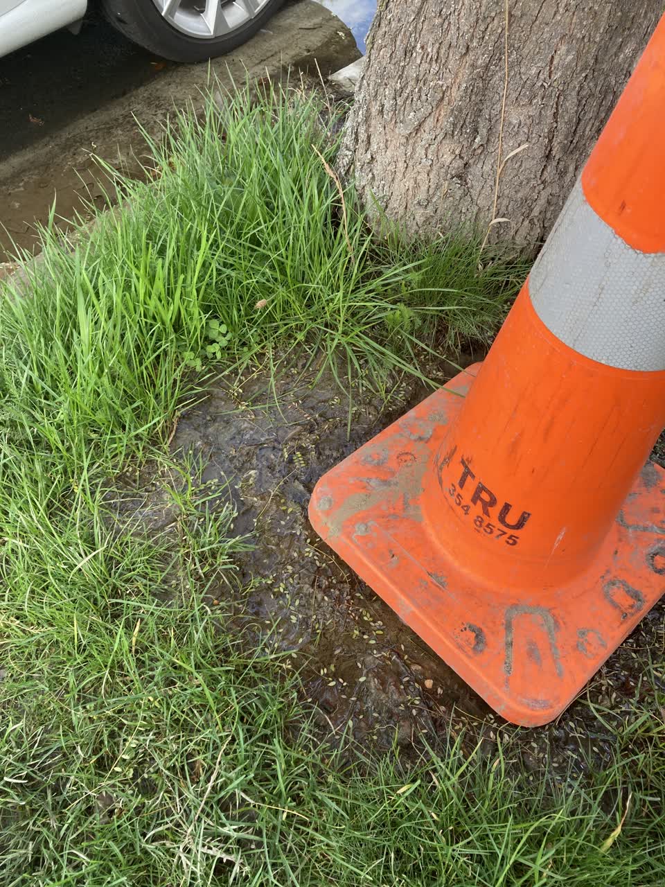 The photograph attached to this water leak report