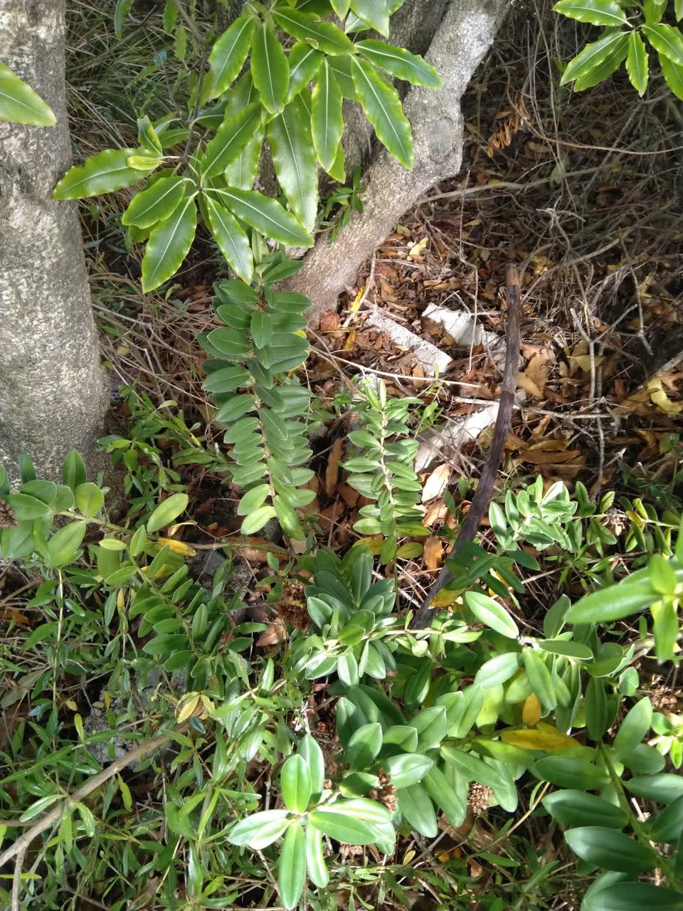 The photograph attached to this general request report