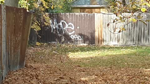 Graffiti, a report photo