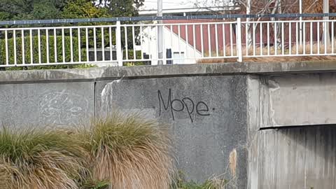 Graffiti — a report photo