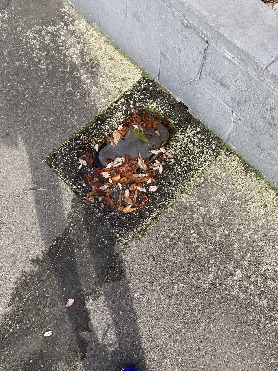 The photograph attached to this water leak report
