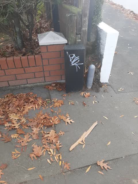 Graffiti, a report photo