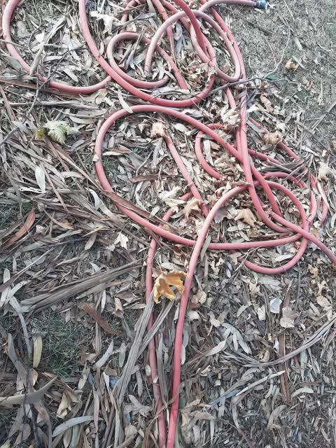 Rubbish/Recycling, a report photo