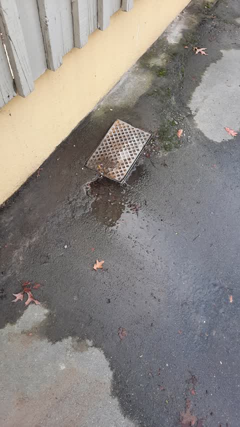 Water Leak, a report photo
