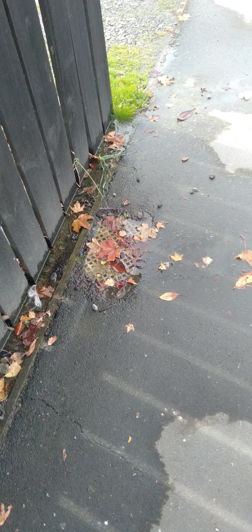 The photograph attached to this water leak report
