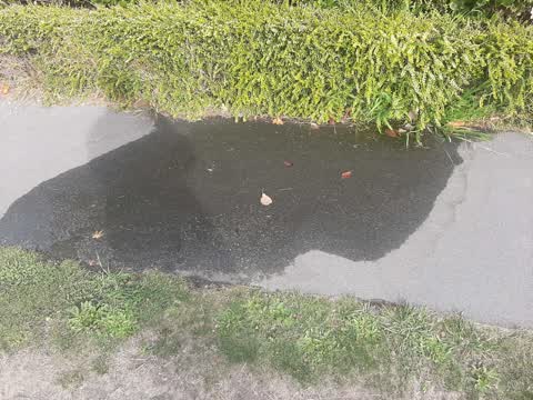 Water Leak, a report photo