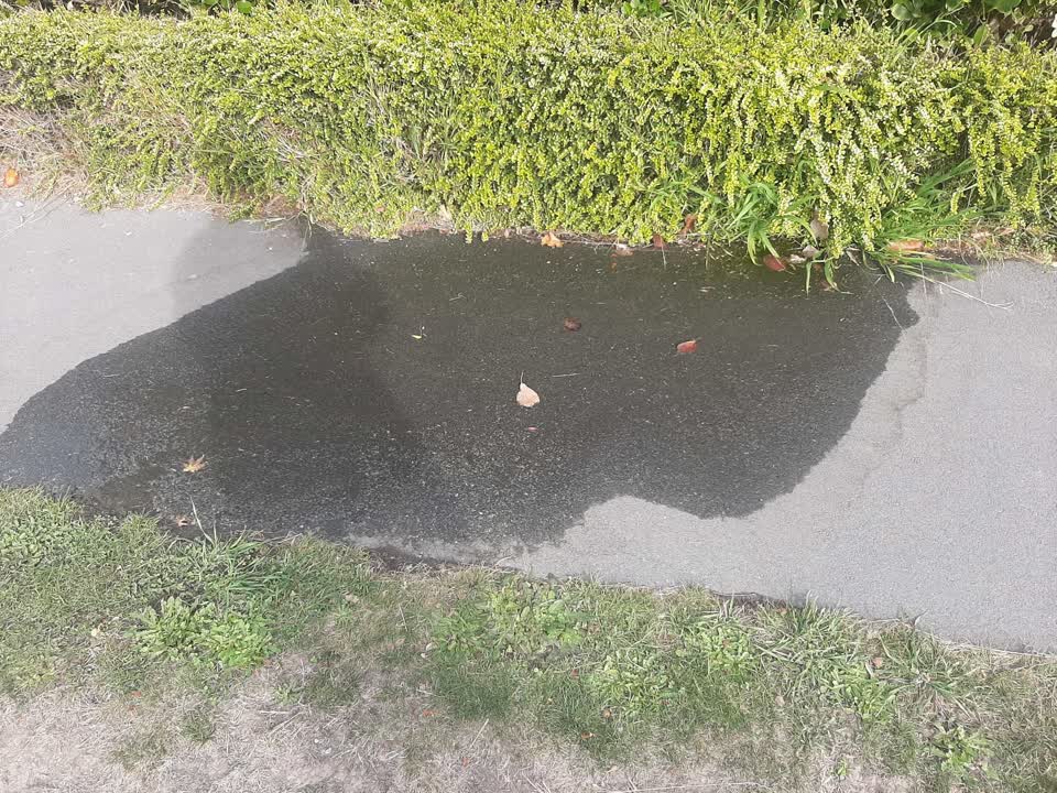 The photograph attached to this water leak report