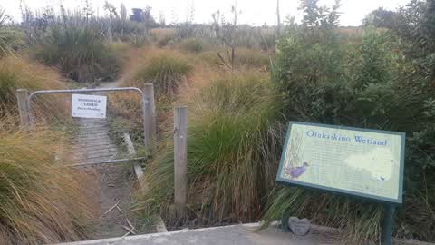 Parks — a report photo