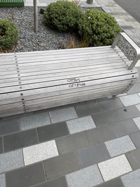Graffiti, a report photo