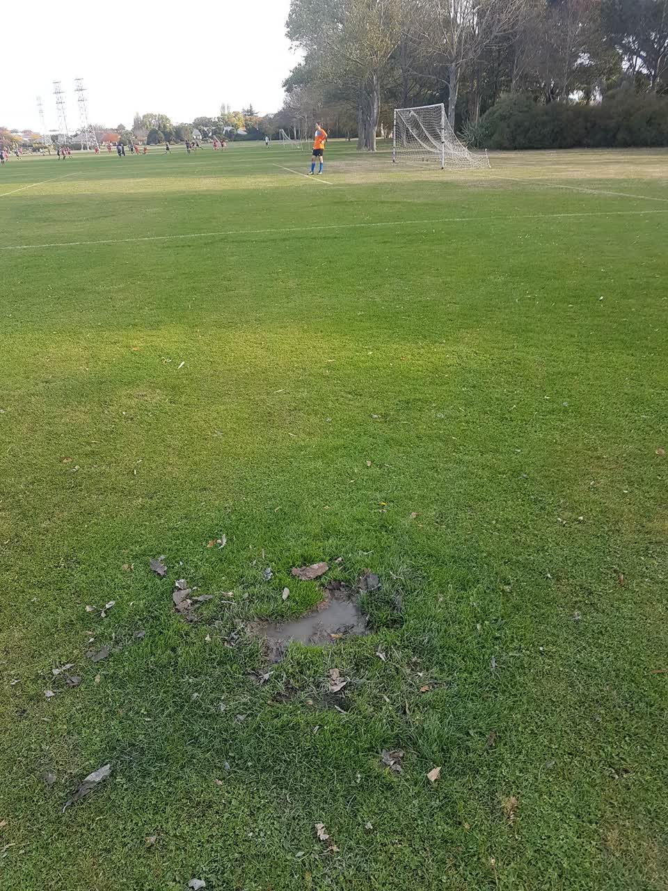 The photograph attached to this parks report