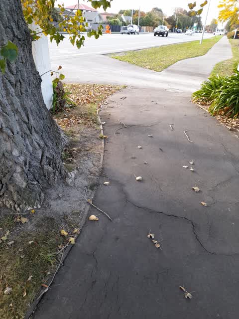 Roading/Streets, a report photo