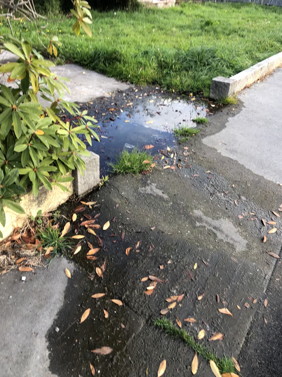 The photograph attached to this water leak report