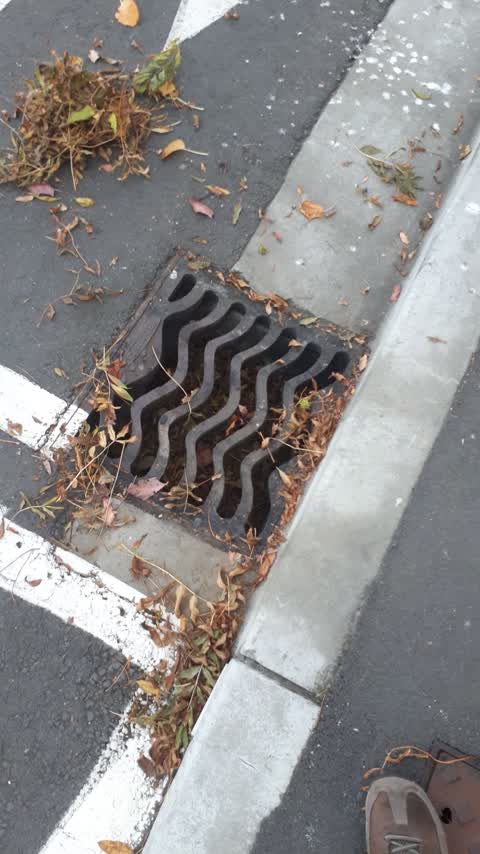Roading/Streets, a report photo