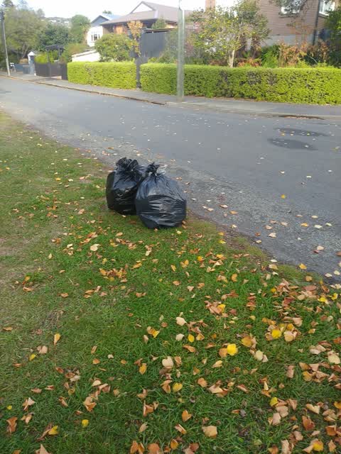 Rubbish/Recycling, a report photo