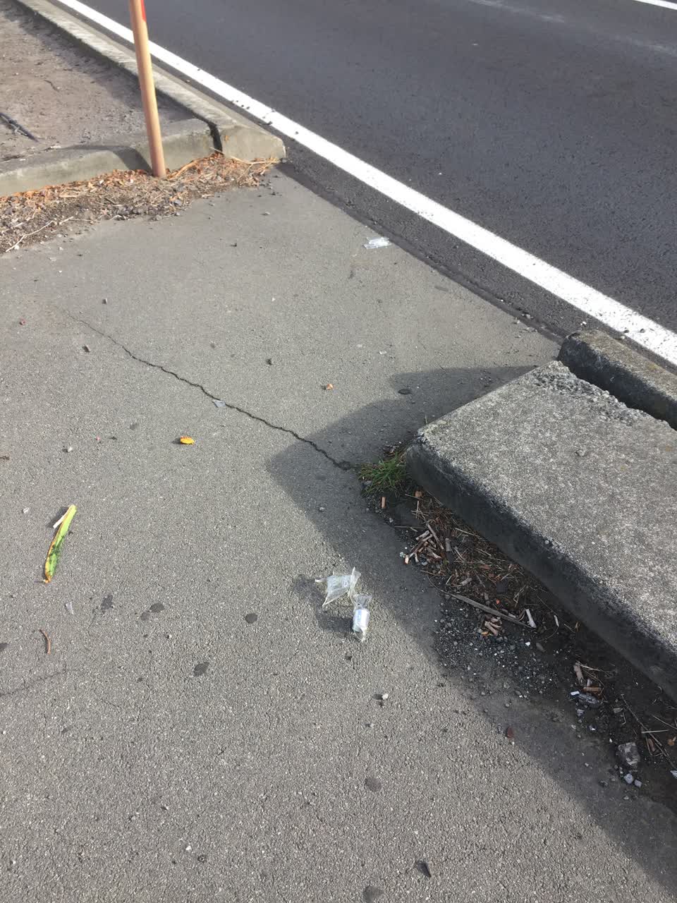 The photograph attached to this rubbish/recycling report