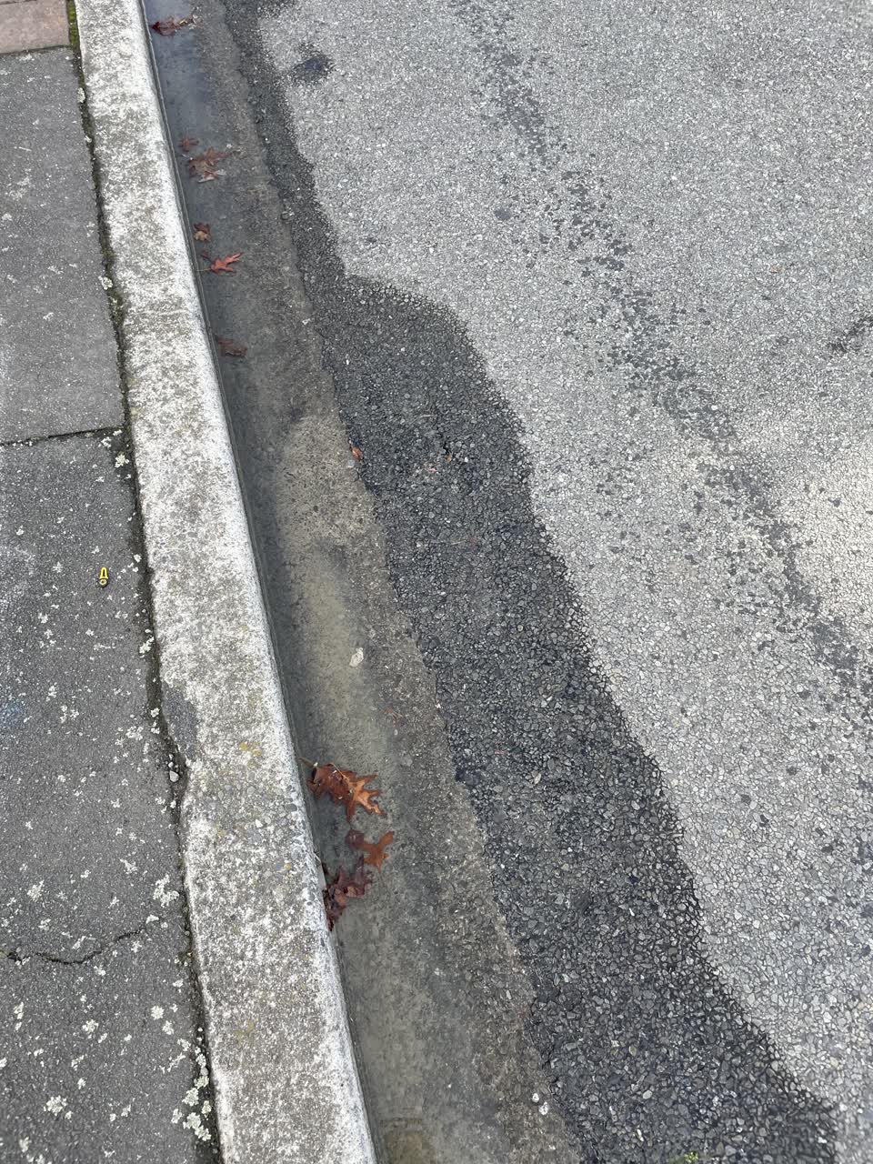 The photograph attached to this water leak report