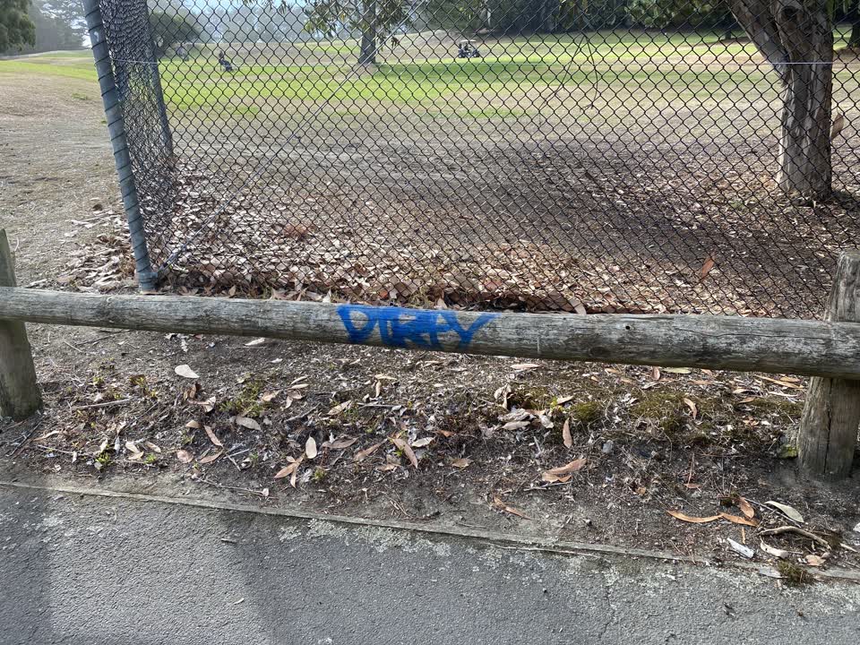 The photograph attached to this graffiti report