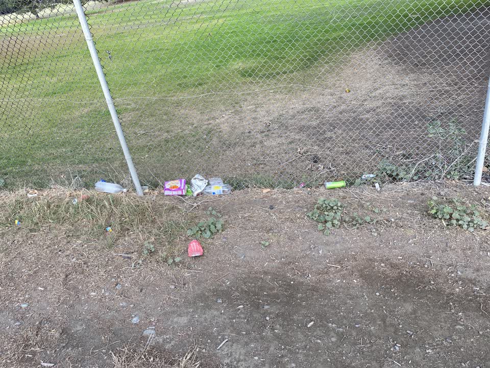 The photograph attached to this rubbish/recycling report