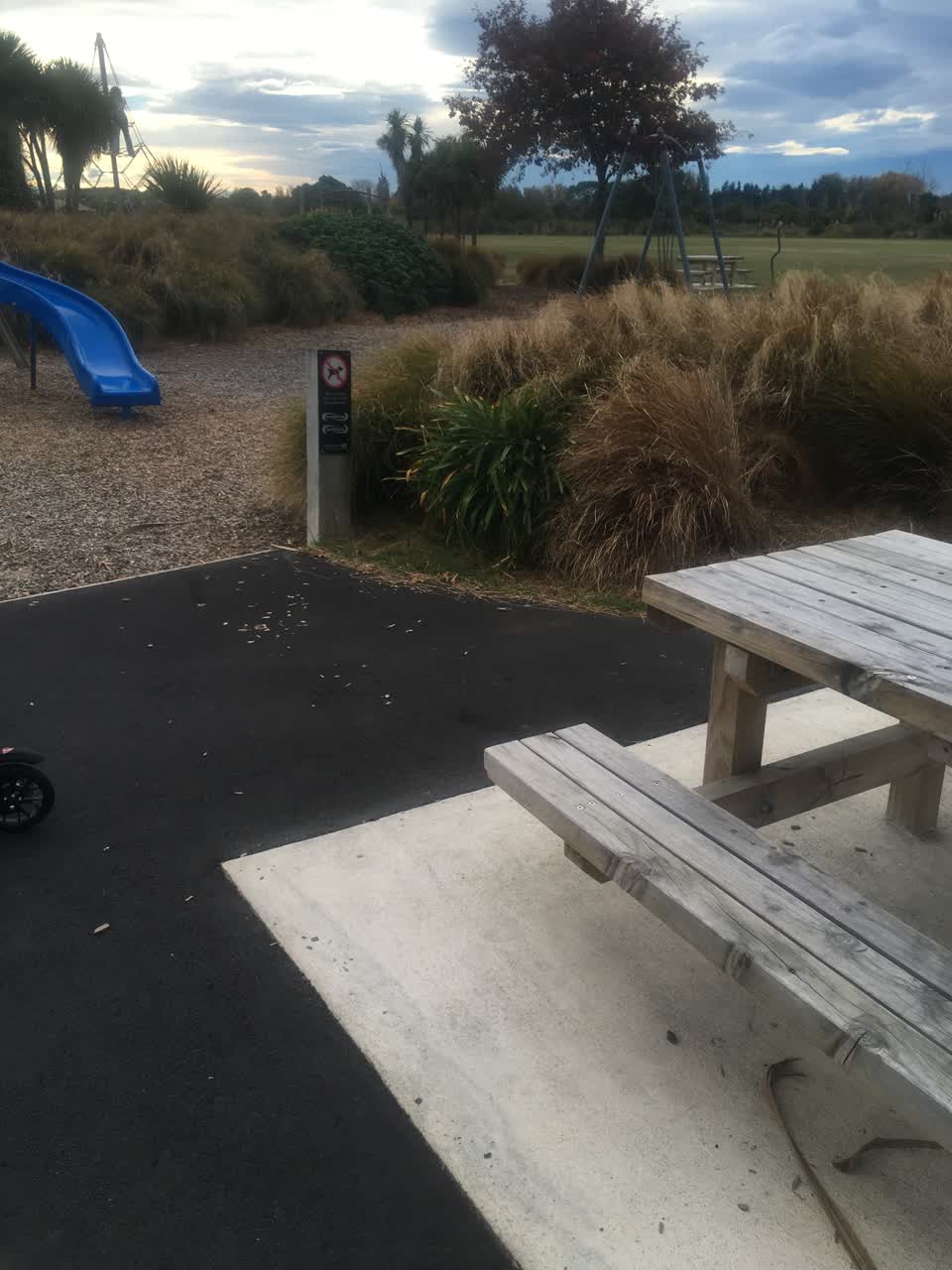 The photograph attached to this parks report