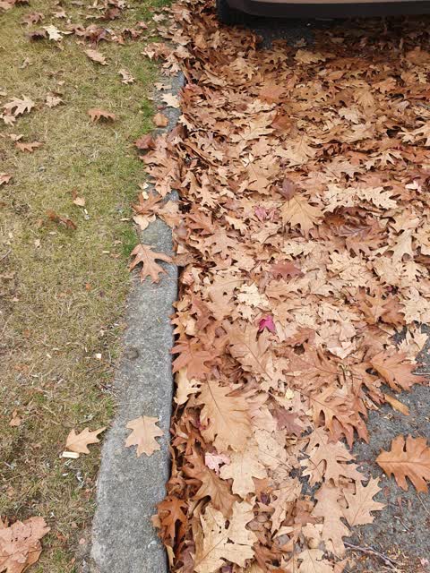 Roading/Streets, a report photo