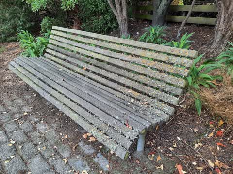Parks — a report photo